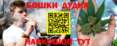 альфа пвп Новодвинск