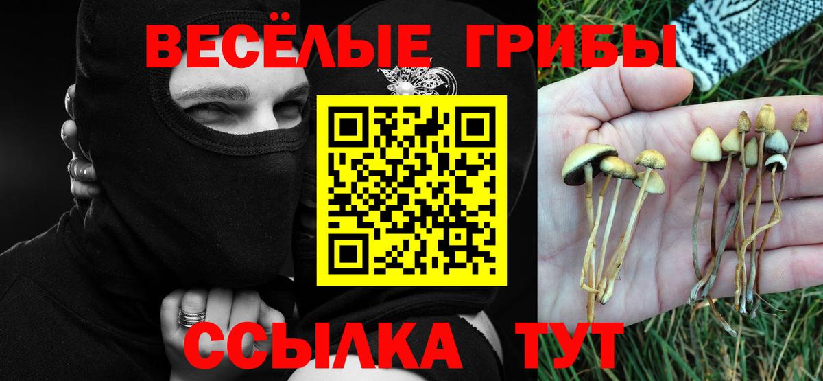 Псилоцибиновые грибы прущие грибы Таганрог