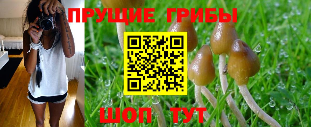 Таганрог  Галлюциногенные грибы MAGIC MUSHROOMS  Галлюциногенные грибы MAGIC MUSHROOMS  Вход с VPN 